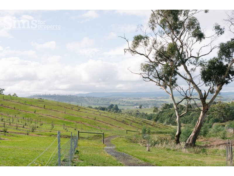 Lot 47 Jinglers Creek Rise, Youngtown TAS 7249