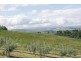 Lot 47 Jinglers Creek Rise, Youngtown TAS 7249