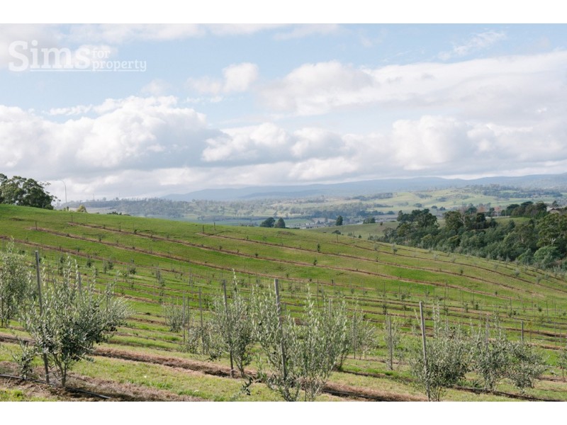 Lot 47 Jinglers Creek Rise, Youngtown TAS 7249