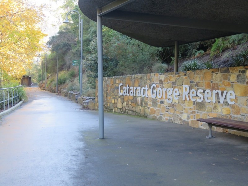 11 Thrower Street, West Launceston TAS 7250