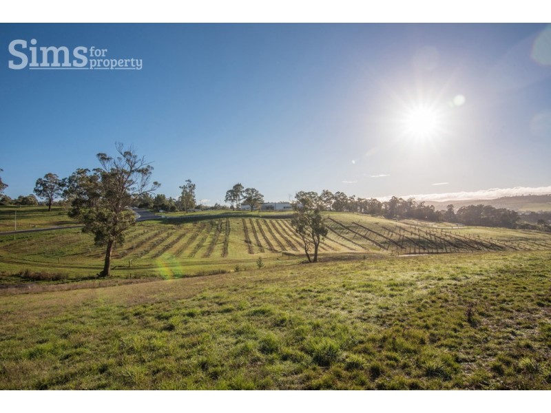 5 Bevel Court, Youngtown TAS 7249