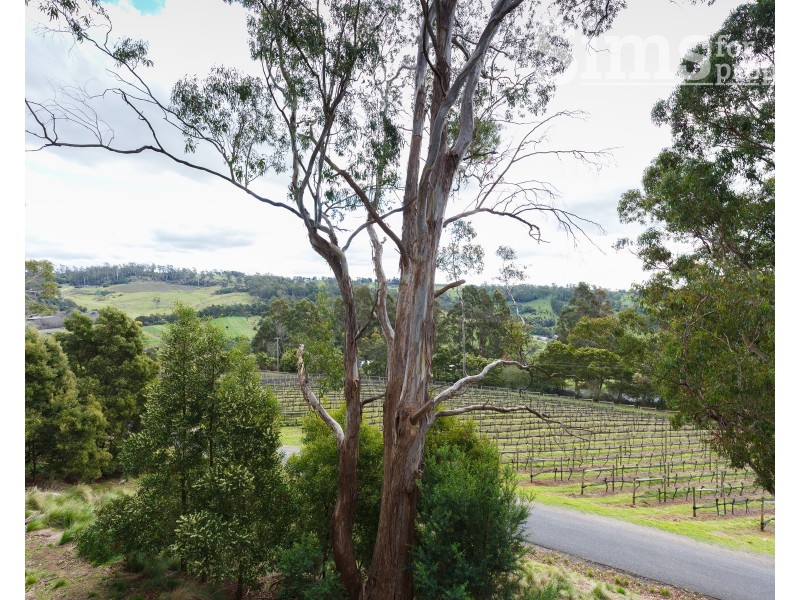 6/1a Waldhorn Drive, Grindelwald TAS 7277