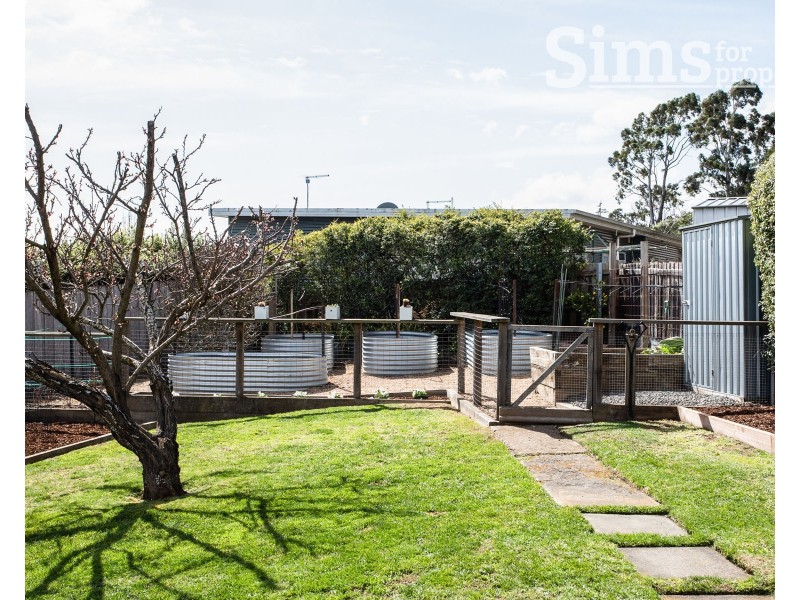 17 Anthony Street, Trevallyn TAS 7250