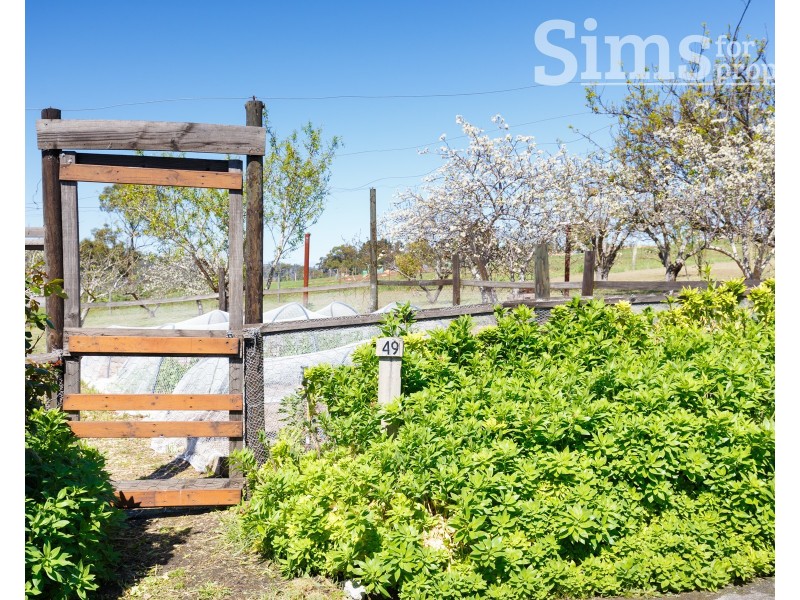 49 Hillwood Jetty Road, Hillwood TAS 7252