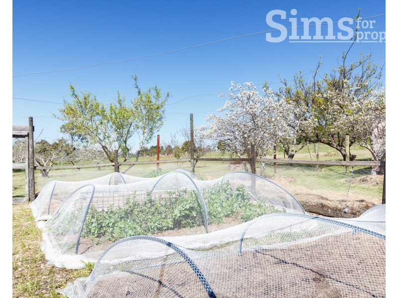 49 Hillwood Jetty Road, Hillwood TAS 7252