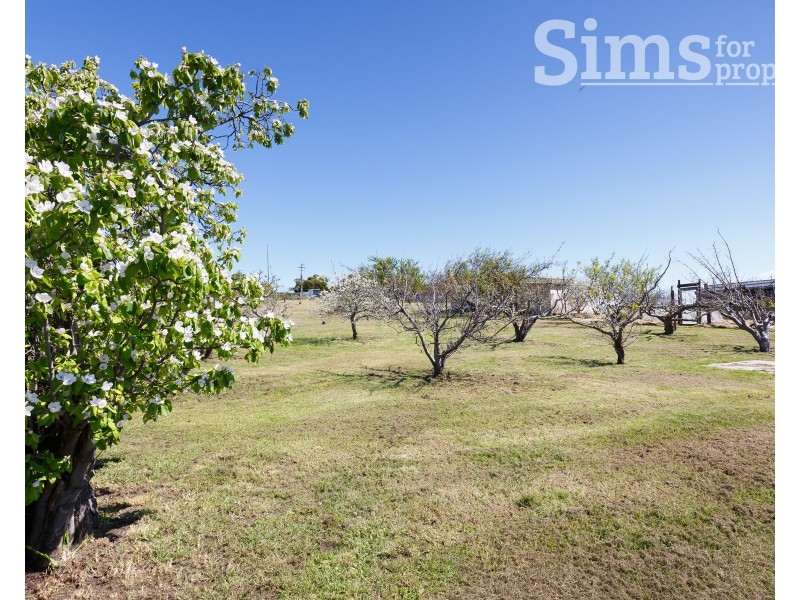 49 Hillwood Jetty Road, Hillwood TAS 7252