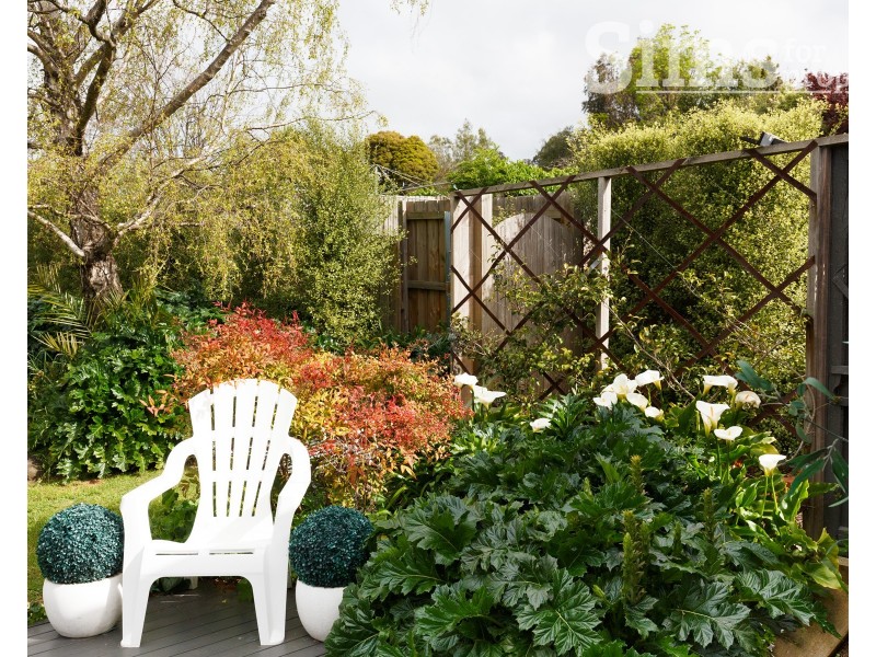 31 Laura Street, West Launceston TAS 7250
