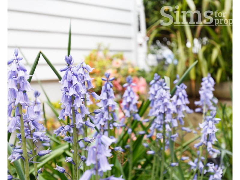 5 Crescent Grove, West Launceston TAS 7250