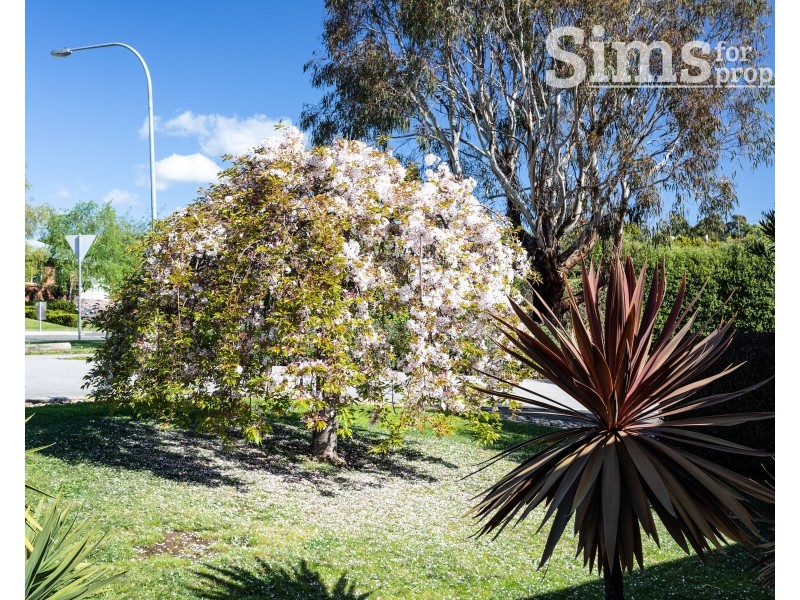 147 Poplar Parade, Youngtown TAS 7249