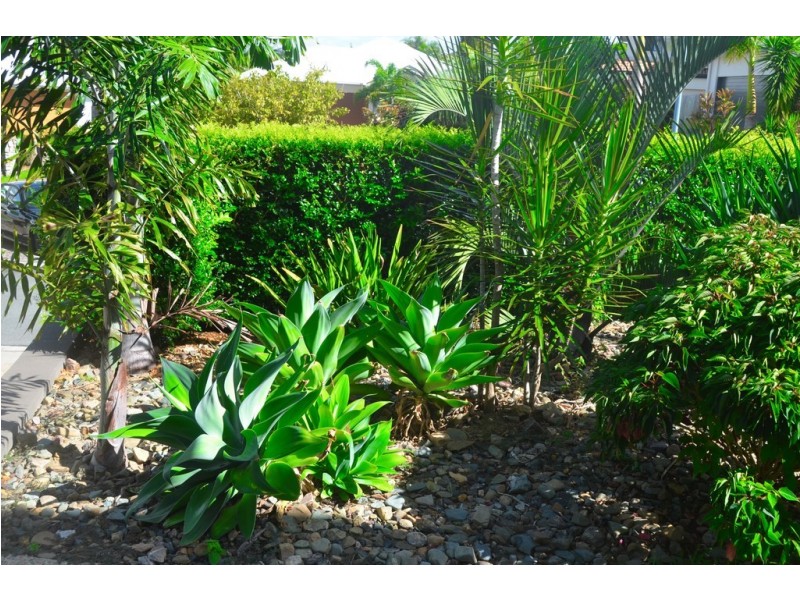 4 Pebble Court, Peregian Springs QLD 4573
