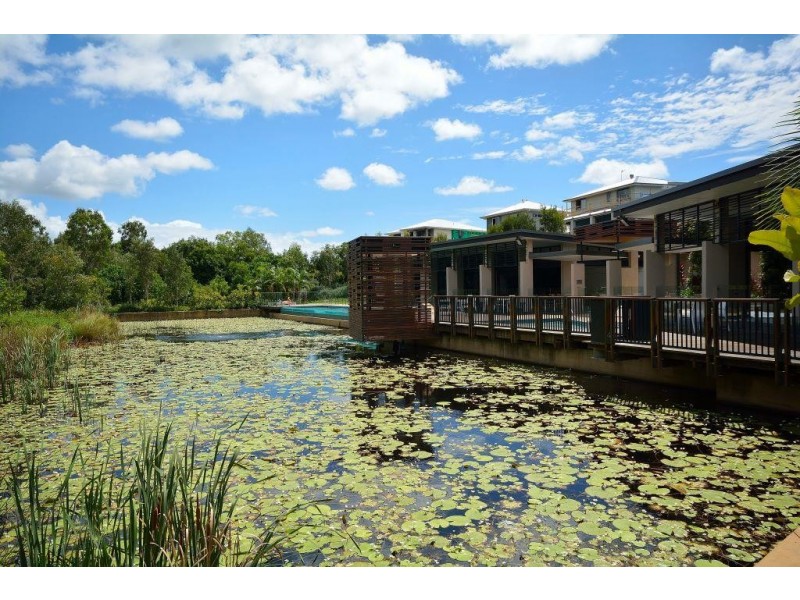 3 Wild Apple Court, Noosa Heads QLD 4567