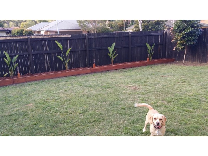 21 Leafhaven Drive, Tewantin QLD 4565