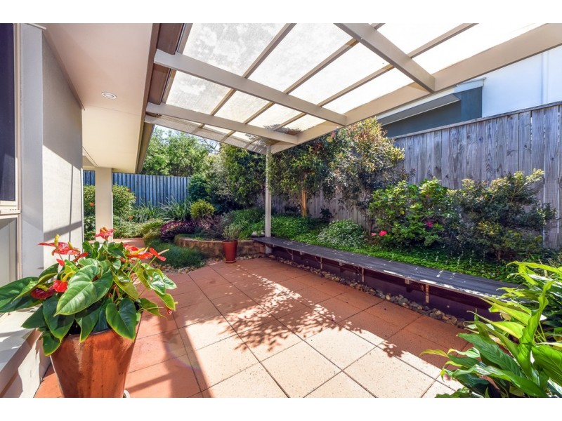 43 Kingsmill Cct, Peregian Springs QLD 4573