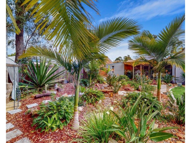 15 Blackbutt Ct, Tewantin QLD 4565