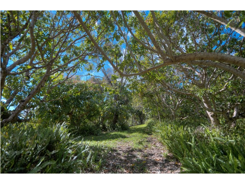 1 Botanica Circuit, Doonan QLD 4562