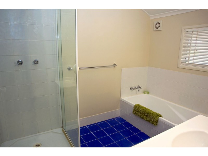 12 William Road, Eumundi QLD 4562
