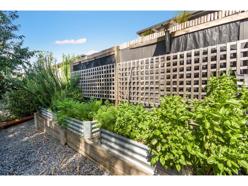7 Bunya Grove, Peregian Springs QLD 4573