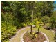 15 Raintree Drive, Tewantin QLD 4565