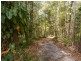 15 Raintree Drive, Tewantin QLD 4565