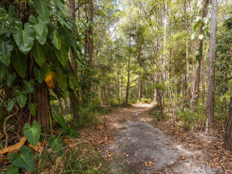 15 Raintree Drive, Tewantin QLD 4565