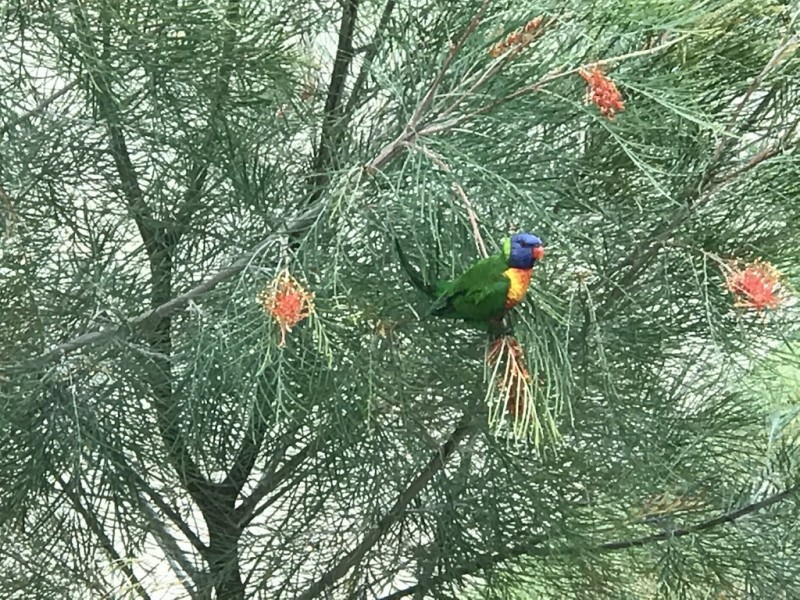 18 Orient Drive, Sunrise Beach QLD 4567