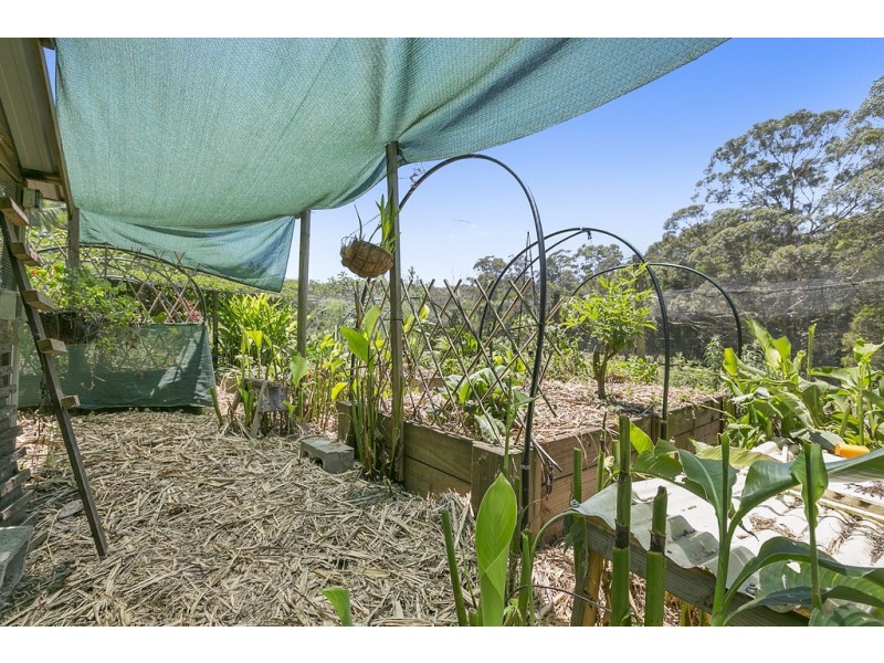 8 Senegal Rise, Doonan QLD 4562