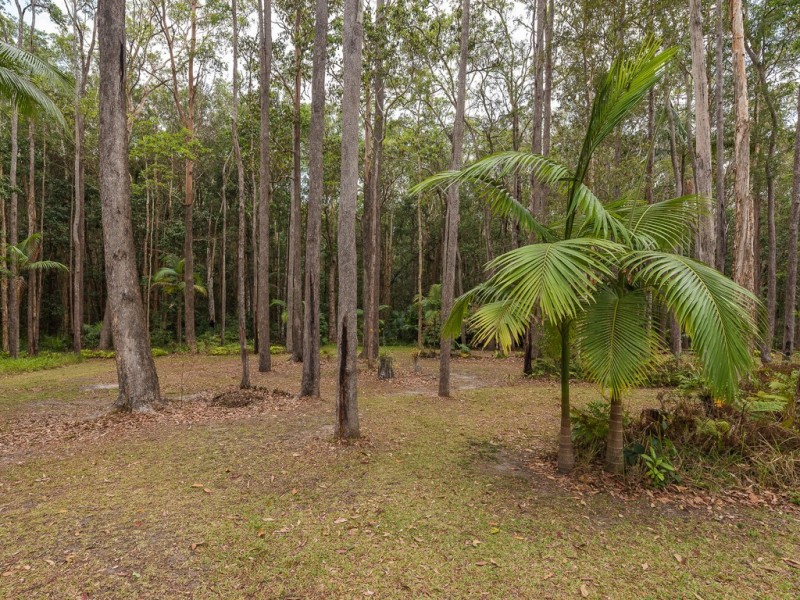 59 Parkdale Avenue, Doonan QLD 4562