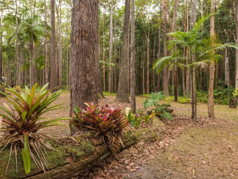 59 Parkdale Avenue, Doonan QLD 4562