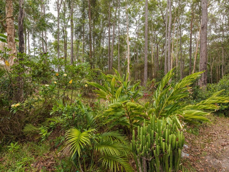 59 Parkdale Avenue, Doonan QLD 4562