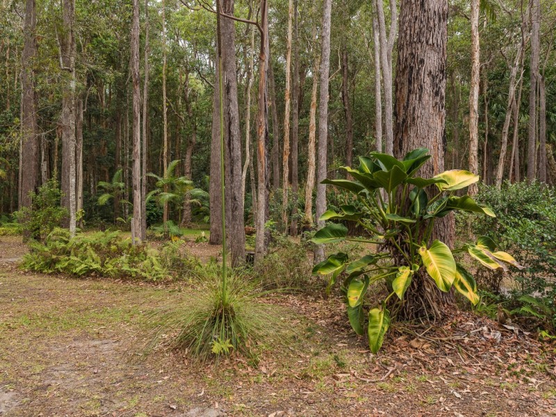 59 Parkdale Avenue, Doonan QLD 4562