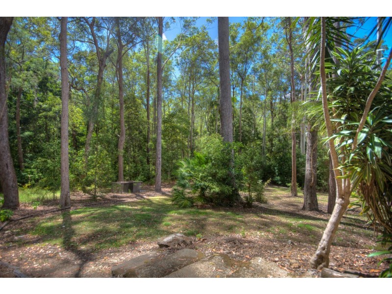 36 Tallgum Avenue, Doonan QLD 4562