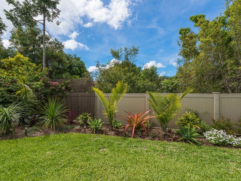 23 Smoke Bush Drive, Noosa Heads QLD 4567