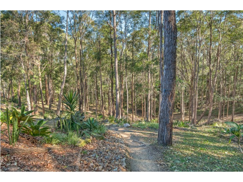 51 Foxtail Rise, Doonan QLD 4562