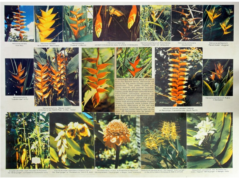 14 Gilward Drive, Mudgeeraba QLD 4213