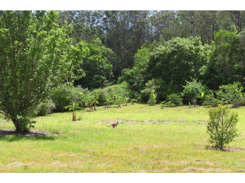 14 Gilward Drive, Mudgeeraba QLD 4213