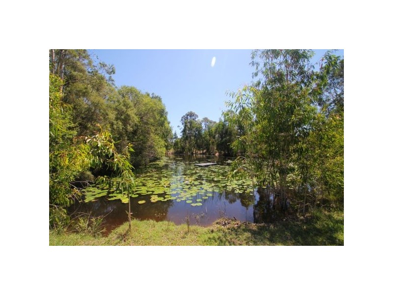 Boreen Point QLD 4565