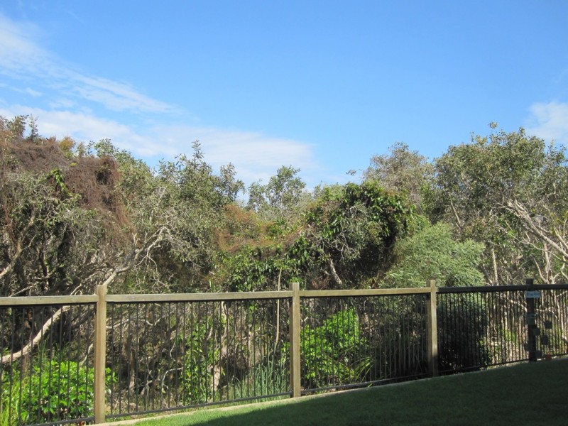 17 Surfside Lane, Mount Coolum QLD 4573