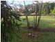 57 Laguna Street, Boreen Point QLD 4565