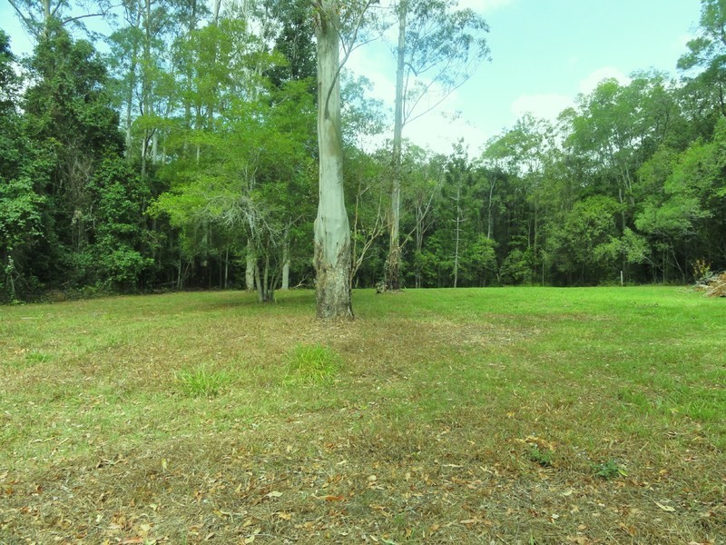 745 Ringtail Creek Road, Pomona QLD 4568