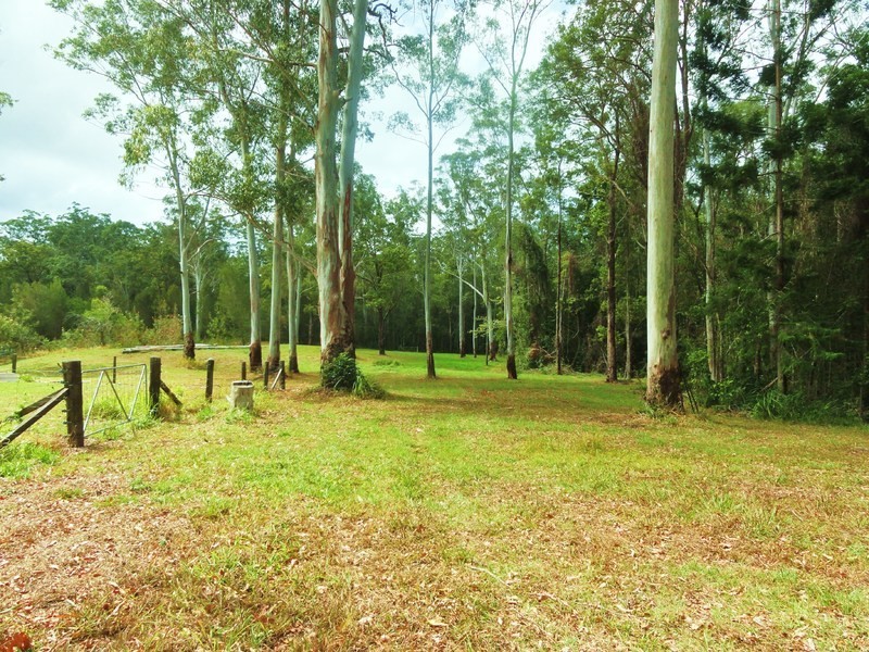 745 Ringtail Creek Road, Pomona QLD 4568