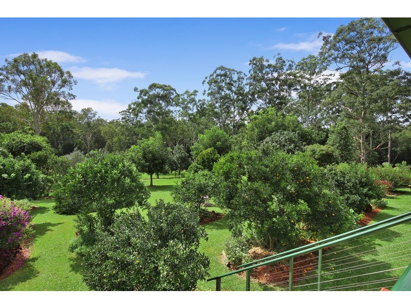 745 Ringtail Creek Road, Pomona QLD 4568