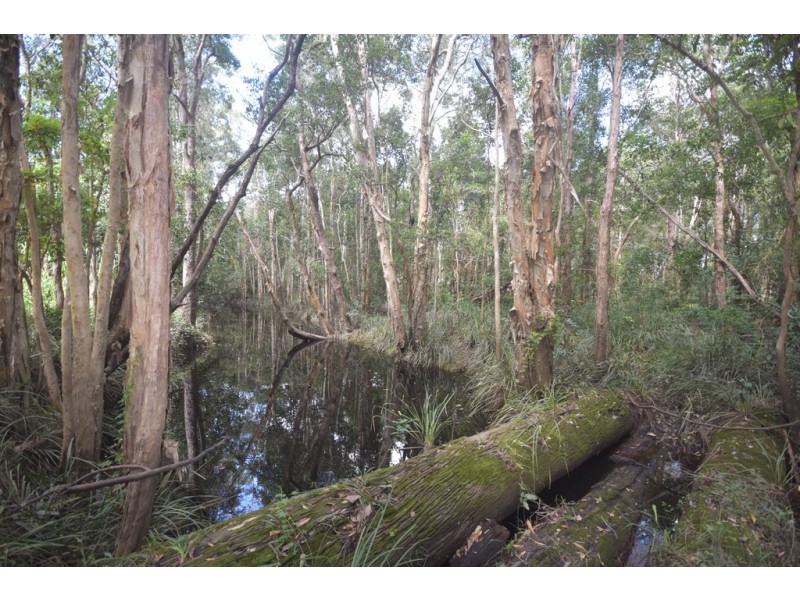 38 Grays Road, Doonan QLD 4562