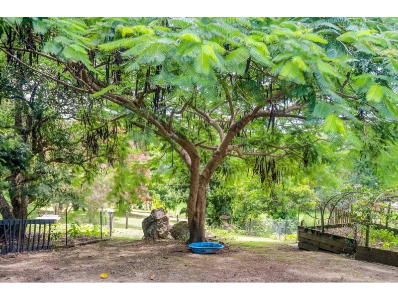 8 Barlee Street, Eumundi QLD 4562