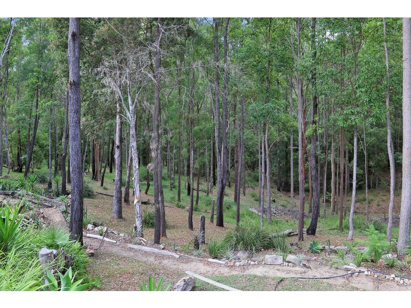 51 Foxtail Rise, Doonan QLD 4562