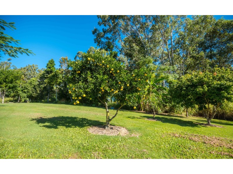 1036 Browns Creek Road, Eerwah Vale QLD 4562