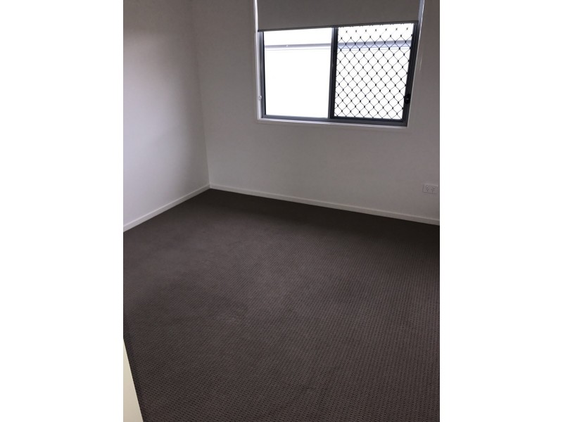 29 Silver Wattle Grove, Peregian Springs QLD 4573