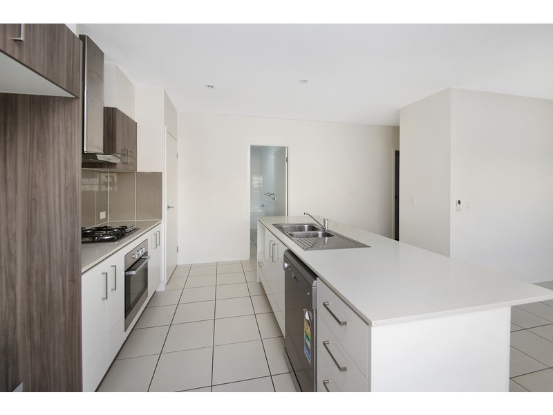 16 Brushbox Way, Peregian Springs QLD 4573