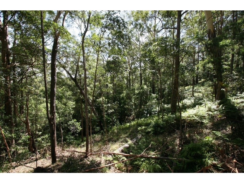Doonan QLD 4562