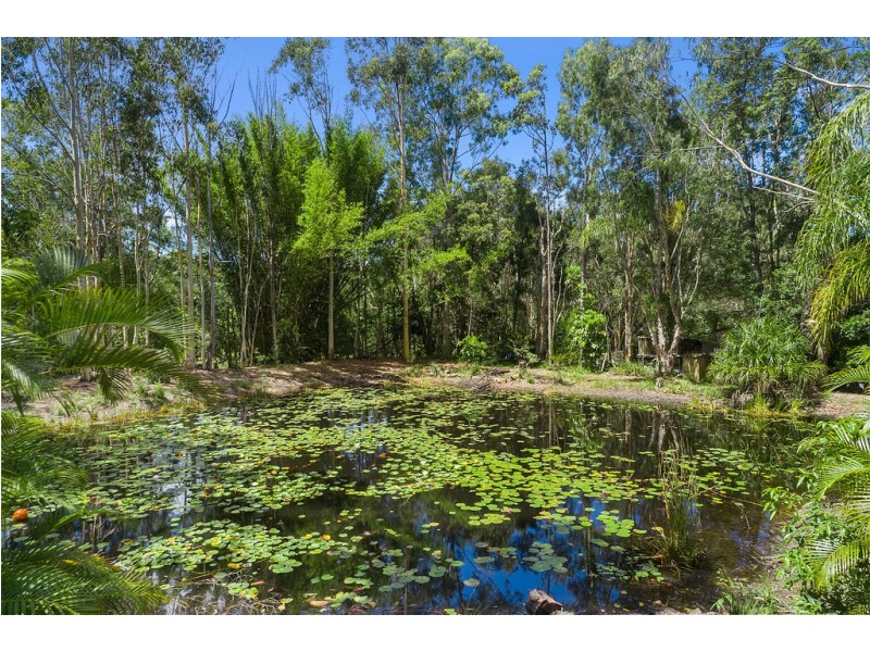 17 Misty Lane, Cooroibah QLD 4565