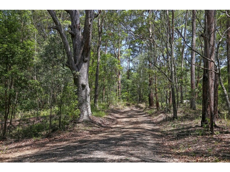 37 McIntyre Lane, Tinbeerwah QLD 4563